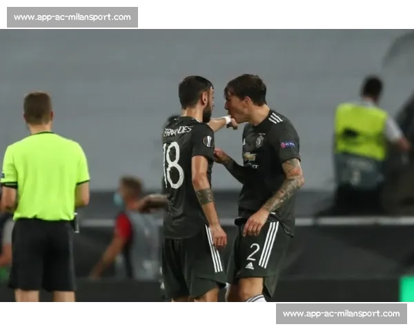 河南队严正回应成都球迷恶意侮辱：喷涂脏话、亵渎足球文化